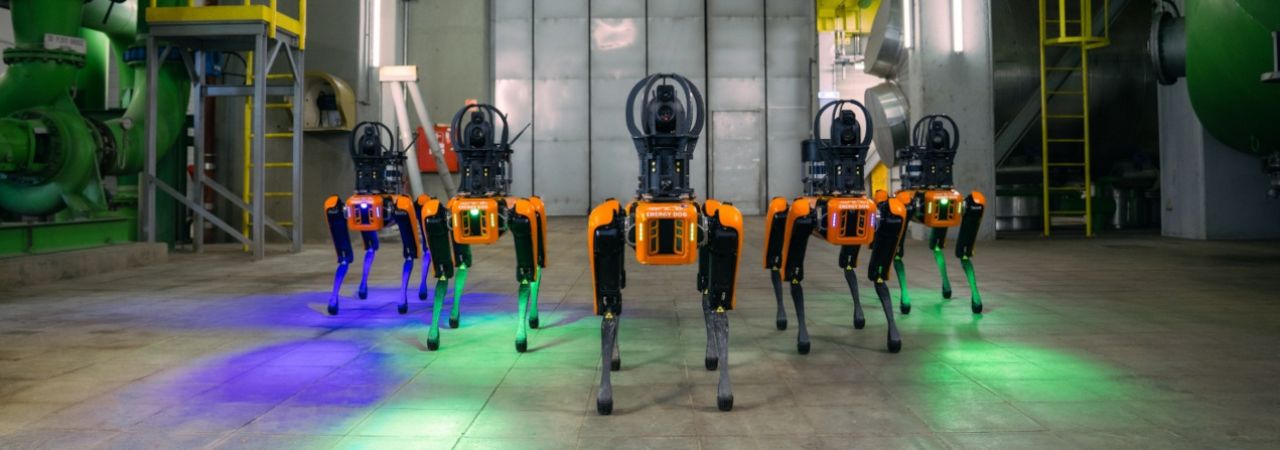 Sada pet robotskih pasa radi u beckim elektranama
