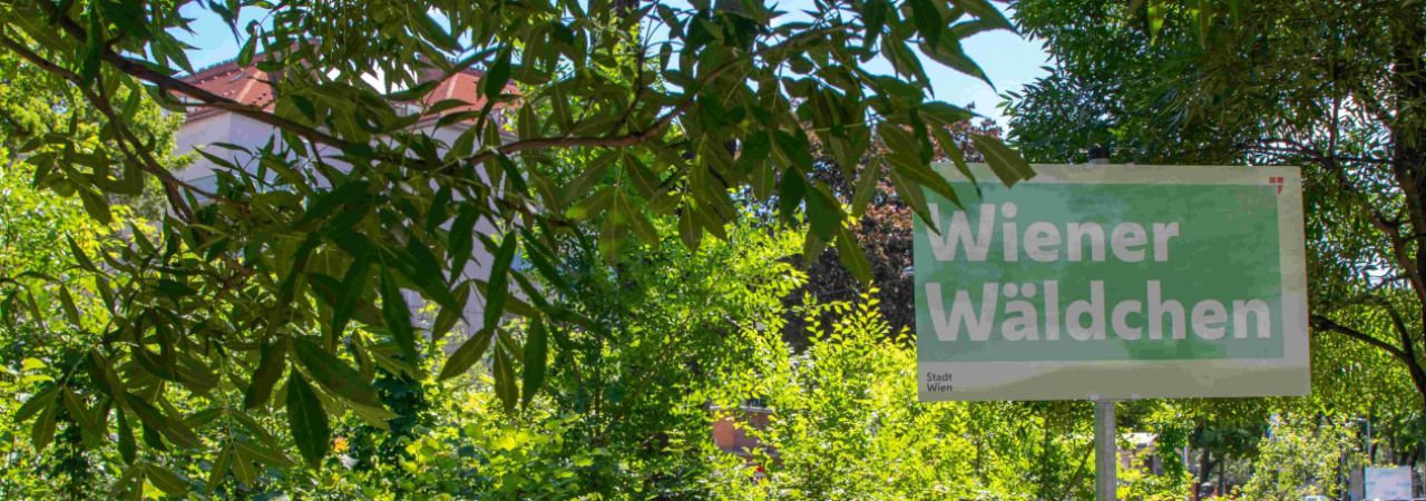 Male šume hlade grad i poboljšavaju kvalitetu zraka