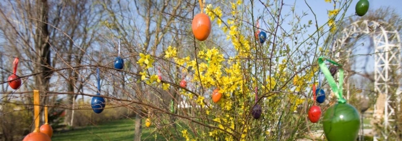 Цъфнали храсти, украсени с великденски яйца