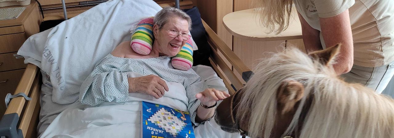 Алпака пред възрастна жена в болнично легло